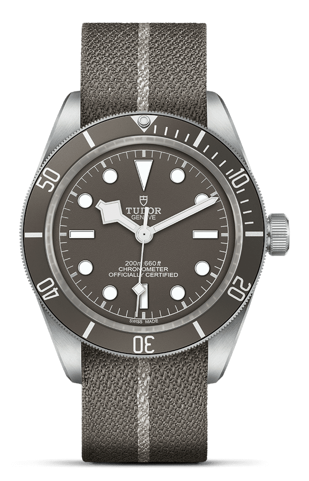 Black Bay 58 | 79010SG | Silver | M79010SG-0002 | Tudor Official Retailer - Srichai Watch