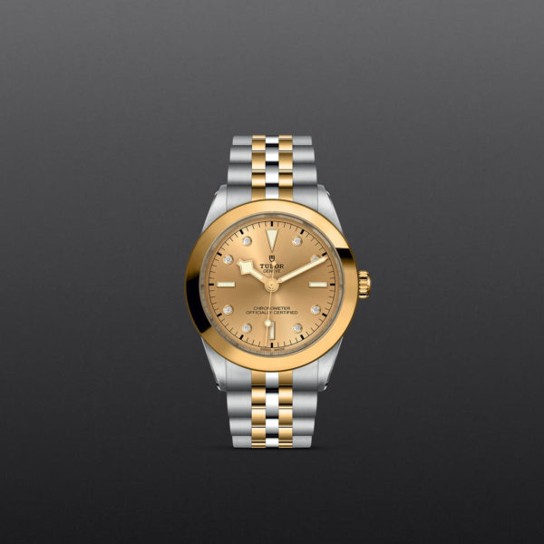 Black Bay 31/36/39/41 | 79663 | Steel and Gold | M79663-0008 | Tudor Official Retailer - Srichai Watch