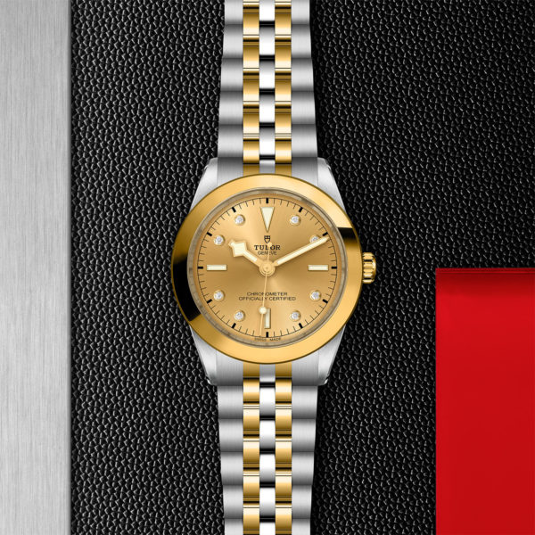 Black Bay 31/36/39/41 | 79663 | Steel and Gold | M79663-0008 | Tudor Official Retailer - Srichai Watch