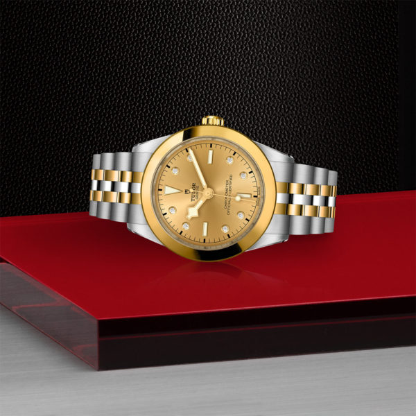 Black Bay 31/36/39/41 | 79663 | Steel and Gold | M79663-0008 | Tudor Official Retailer - Srichai Watch