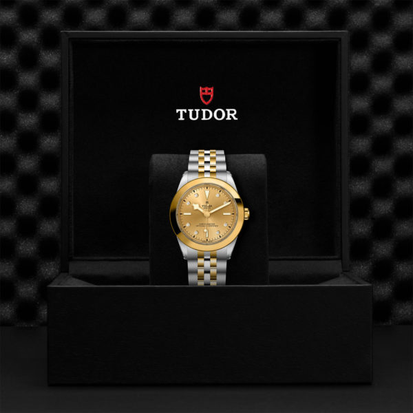 Black Bay 31/36/39/41 | 79663 | Steel and Gold | M79663-0008 | Tudor Official Retailer - Srichai Watch