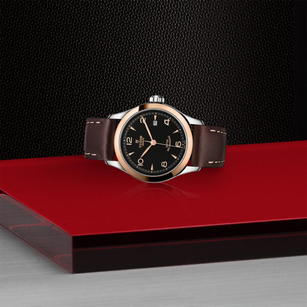 1926 | 91351 | Steel and Gold | M91351-0007 | Tudor Official Retailer - Srichai Watch