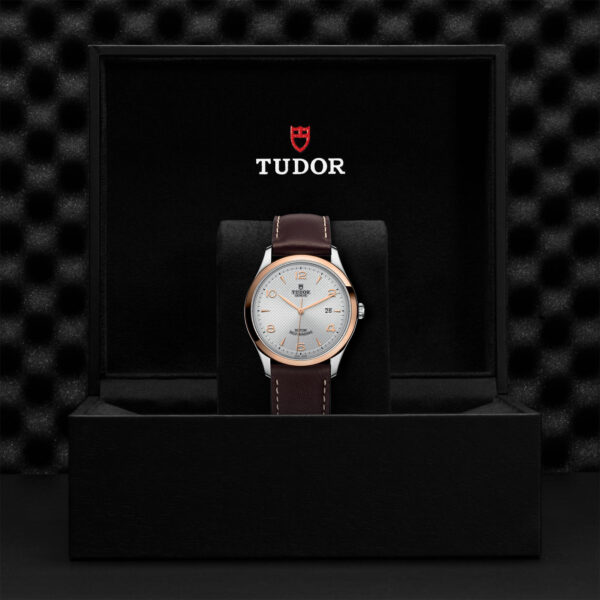1926 | 91651 | Steel and Gold | M91651-0005 | Tudor Official Retailer - Srichai Watch