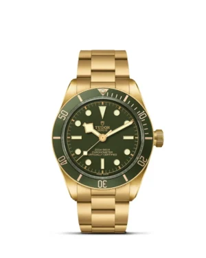 Black Bay 58 | 79018V | Gold | M79018V-0006 | Tudor Official Retailer - Srichai Watch