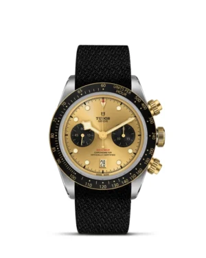Black Bay | 79363N | Steel and Gold | M79363N-0006 | Tudor Official Retailer - Srichai Watch