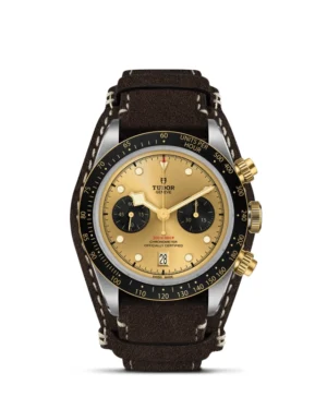 Black Bay | 79363N | Steel and Gold | M79363N-0008 | Tudor Official Retailer - Srichai Watch