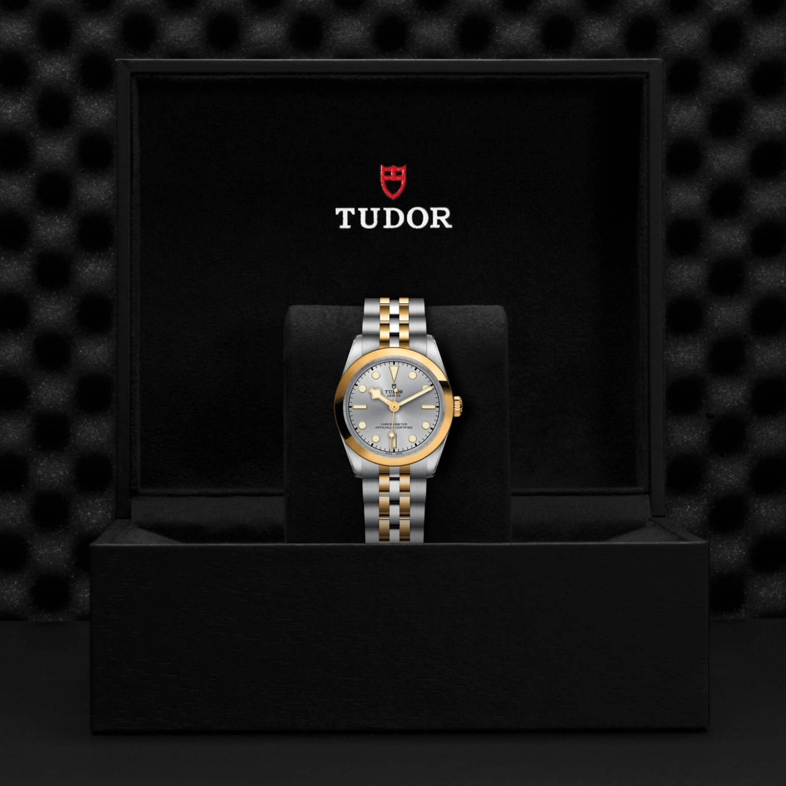 tudor-m79603-0002-gallery4-26 Black Bay One | 79603 | Steel and Gold | M79603-0002 | Tudor Official Retailer - Srichai Watch