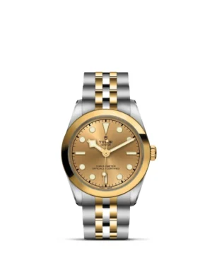 Black Bay One | 79603 | Steel and Gold | M79603-0005 | Tudor Official Retailer - Srichai Watch