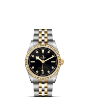 Black Bay | 79613 | Steel and Gold | M79613-0005 | Tudor Official Retailer - Srichai Watch