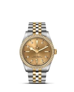 Black Bay | 79653 | Steel and Gold | M79653-0007 | Tudor Official Retailer - Srichai Watch