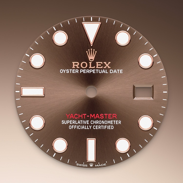 Rolex Yacht-Master | 126621 | Yacht-Master 40 | Coloured dial | Bidirectional Rotatable Bezel | Chocolate Dial | Everose Rolesor | M126621-0001 | Men Watch | Rolex Official Retailer - Srichai Watch
