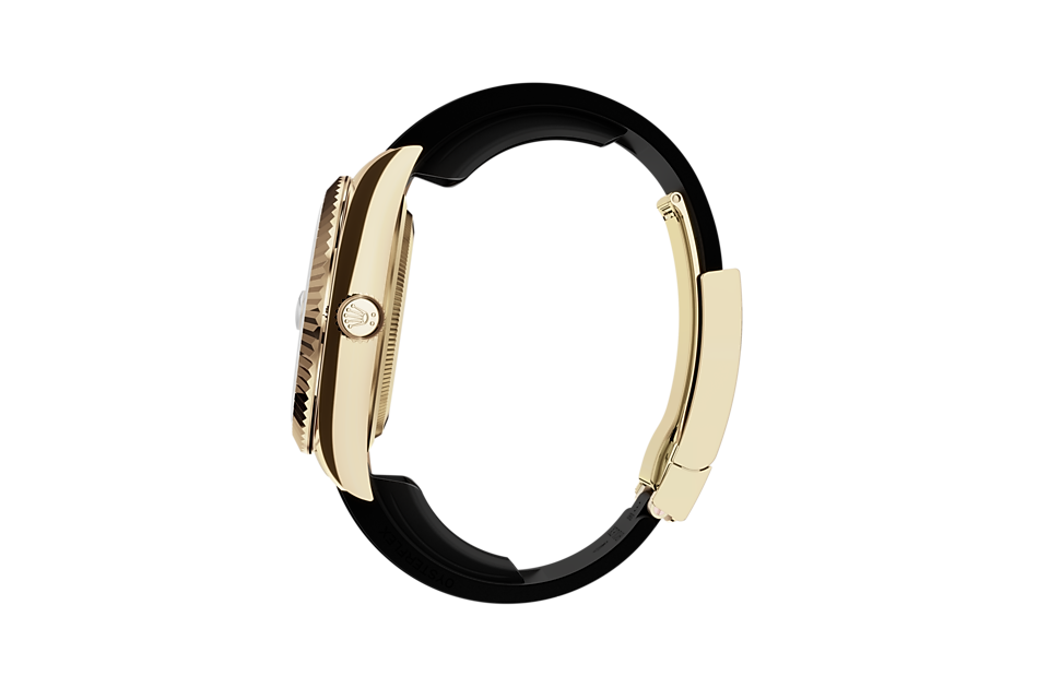 Rolex Sky-Dweller | 336238 | Sky-Dweller | Dark dial | The Oysterflex Bracelet | 18 ct yellow gold | Bright black dial | M336238-0002 | Men Watch | Rolex Official Retailer - Srichai Watch