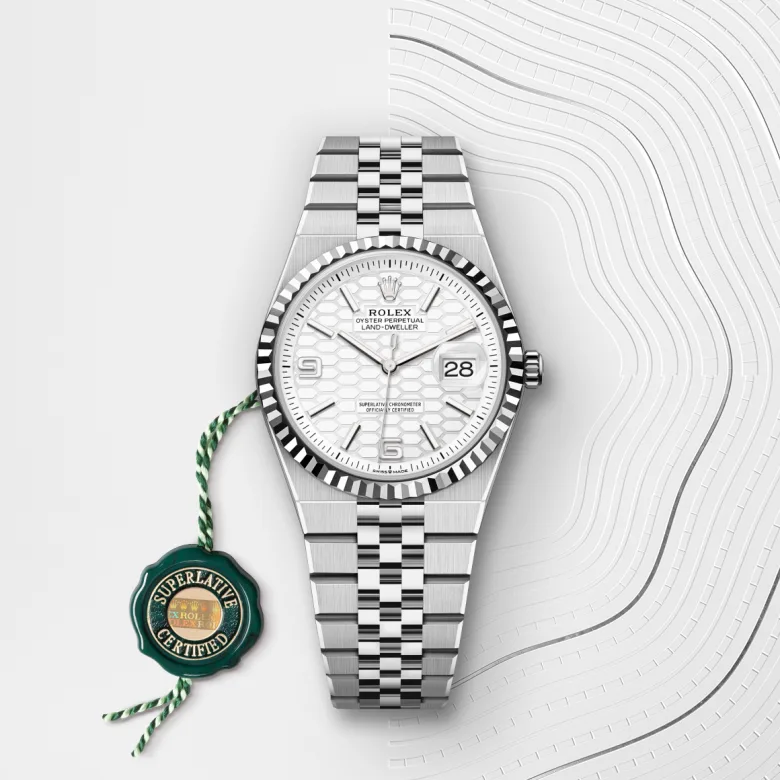 Rolex Land-Dweller in White Rolesor - การผสมผสานระหว่าง Oystersteel และทองคำขาว, M127234-0001 - Srichai Watch