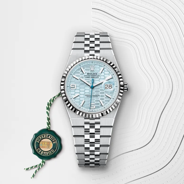 Rolex Land-Dweller in Platinum, m127236-0001 - Srichai Watch