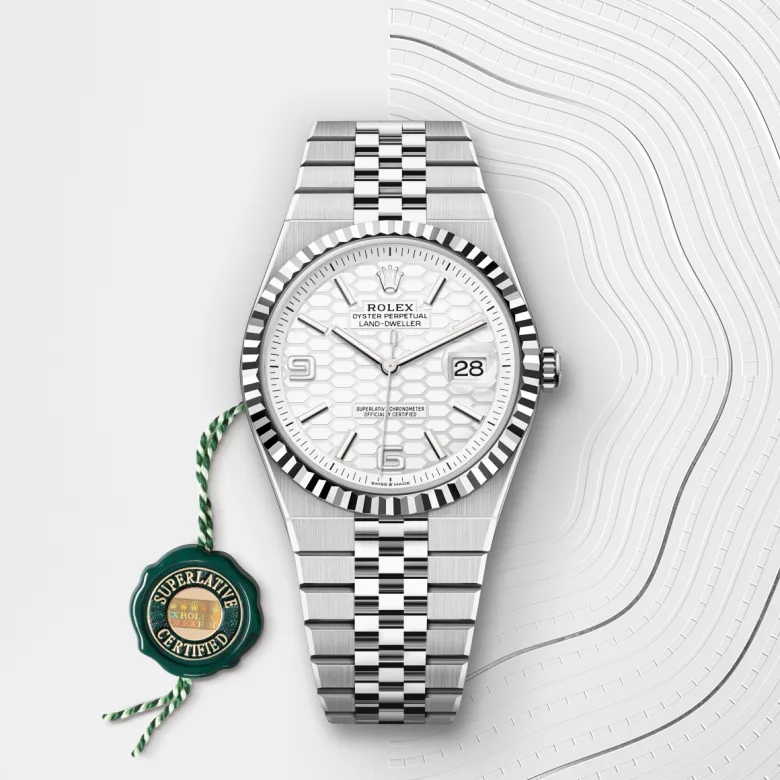 Rolex Land-Dweller in White Rolesor - การผสมผสานระหว่าง Oystersteel และทองคำขาว, M127334-0001 - Srichai Watch
