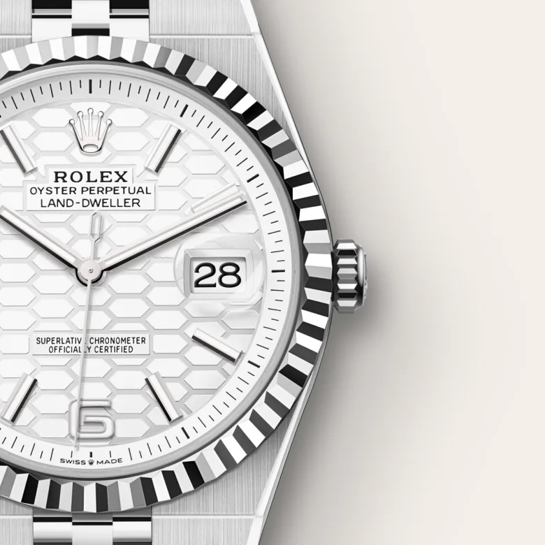 Rolex Land-Dweller in White Rolesor - combination of Oystersteel and white gold, M127334-0001 - Srichai Watch