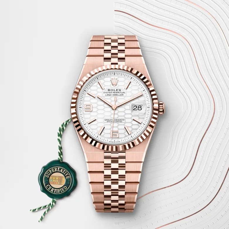 Rolex Land-Dweller in Everose gold 18 กะรัต, M127335-0001 - Srichai Watch