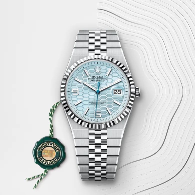Rolex Land-Dweller in Platinum, M127336-0001 - Srichai Watch
