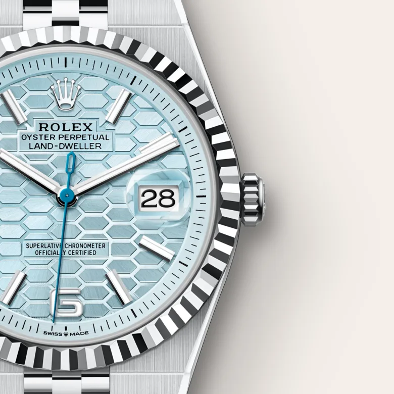 Rolex Land-Dweller in Platinum, M127336-0001 - Srichai Watch