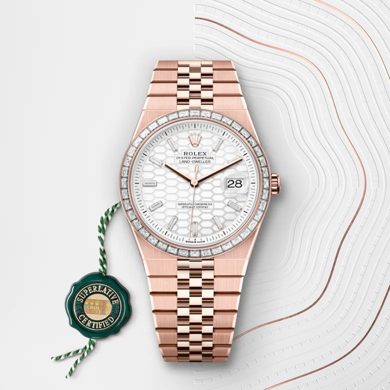 Rolex Land-Dweller in 18 ct Everose gold, m127385tbr-0003 - Srichai Watch