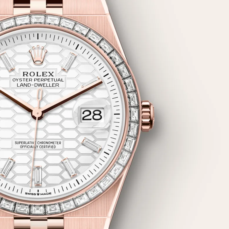 Rolex Land-Dweller in 18 ct Everose gold, m127385tbr-0003 - Srichai Watch