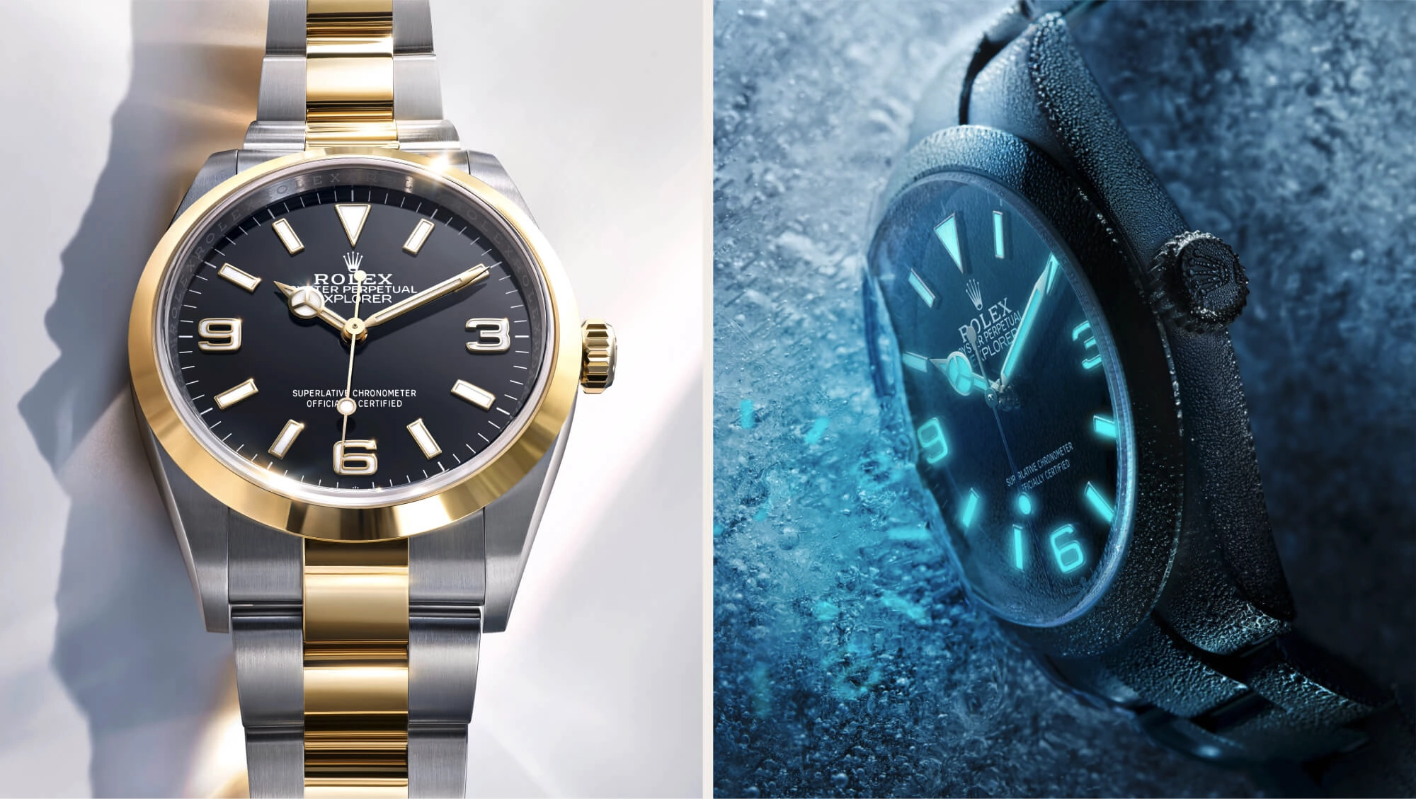 Rolex Explorer watches - Srichai Watch